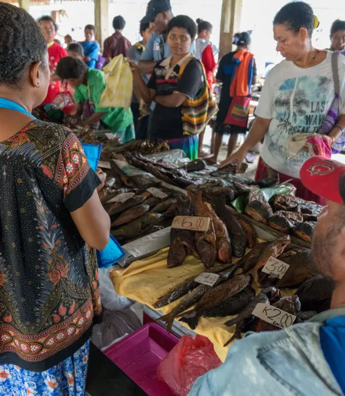 Fish Market